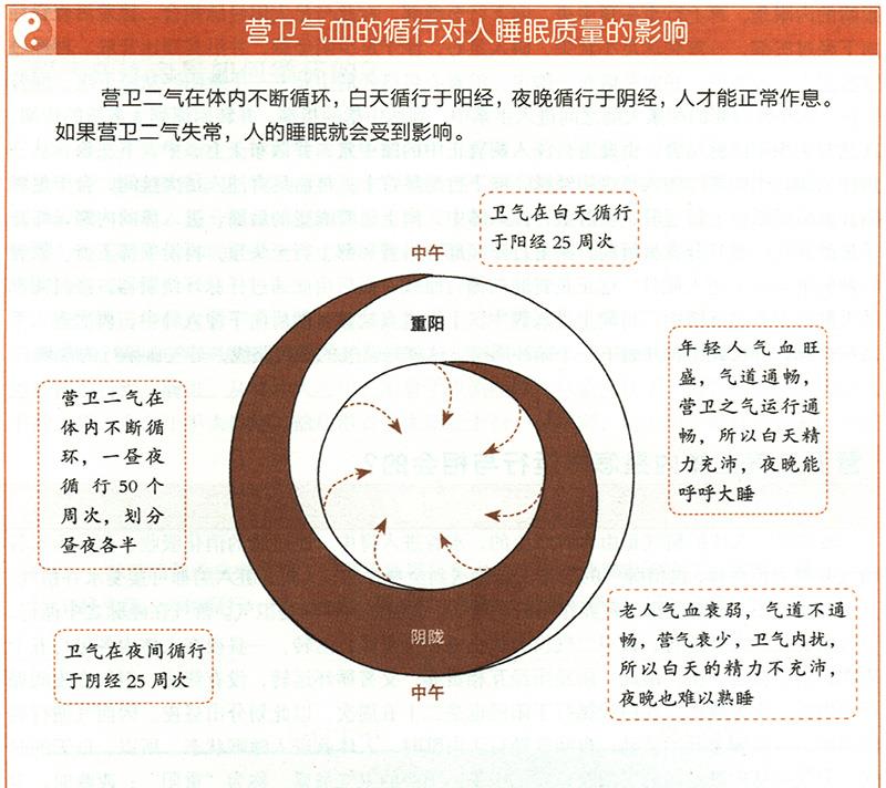 營(yíng)衛(wèi)二氣在體內(nèi)是怎樣運(yùn)行與相會(huì)的？