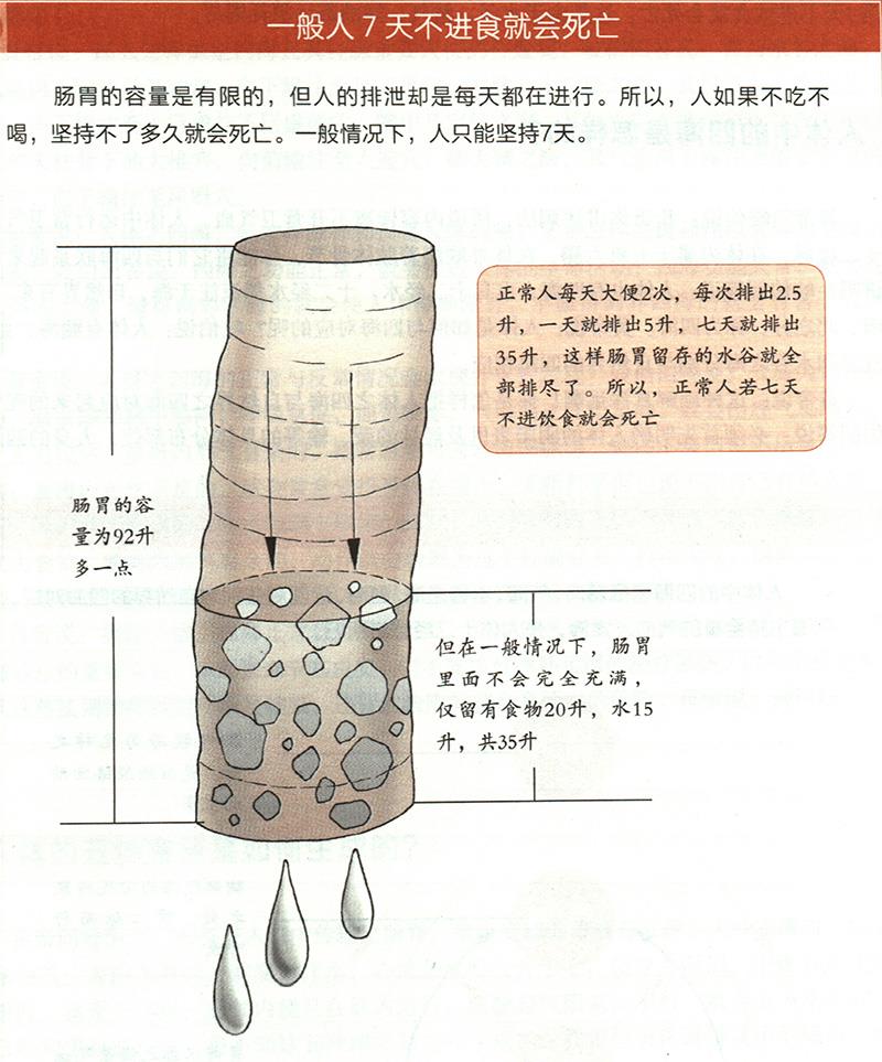 為什么7天不進(jìn)食就會(huì)死亡？