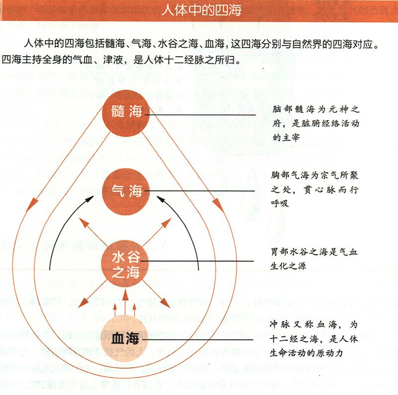 人體中的四海是怎樣的？