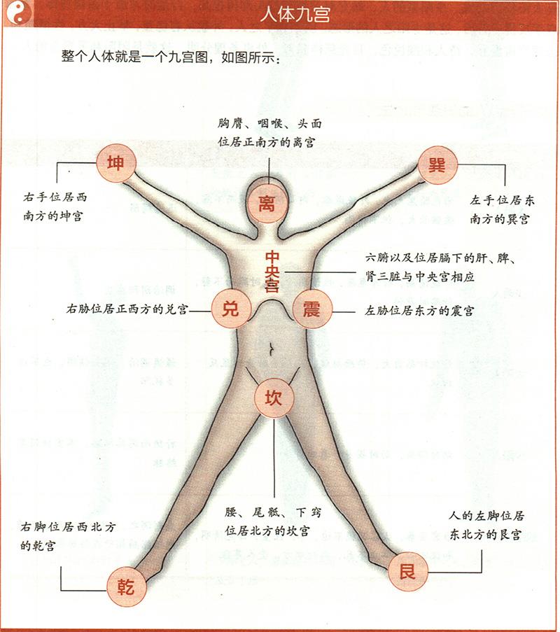 人體各部與九野是怎樣對應(yīng)的？
