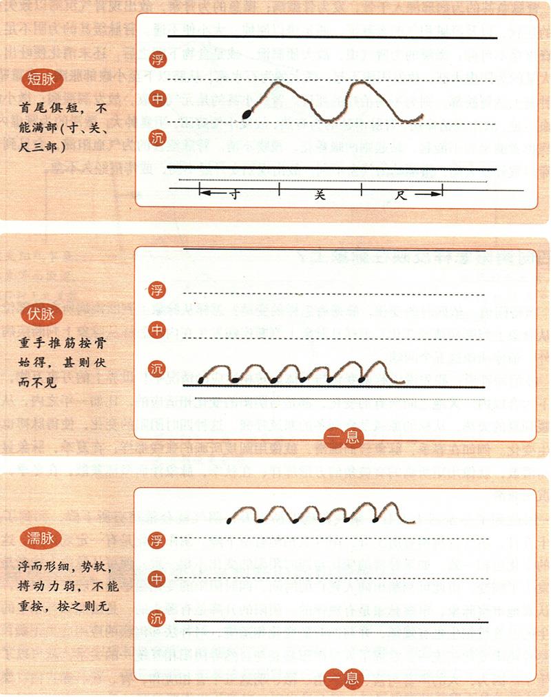 緩、急、小、大、滑、澀六種脈象所對應(yīng)的病狀情形是怎樣的？