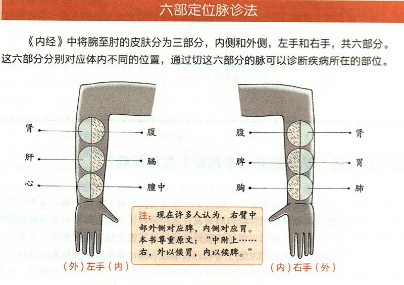 如何在尺膚上診斷疾??？