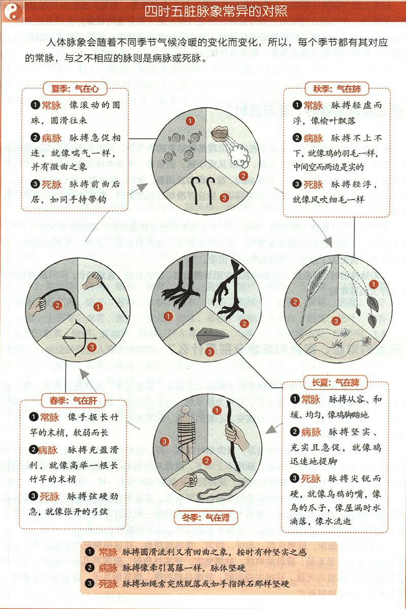 五臟的常脈、病脈和死脈分別是什么？