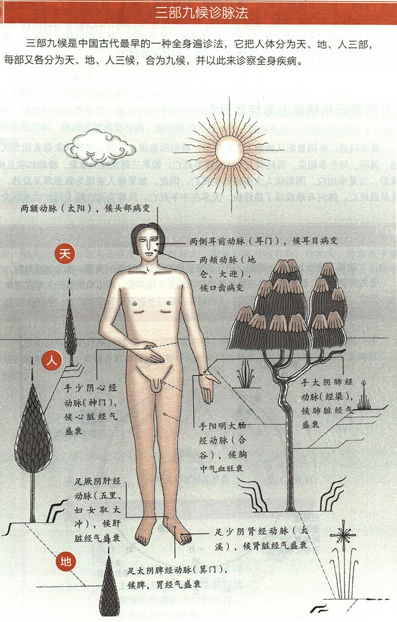 如何根據(jù)三部九候來診??？