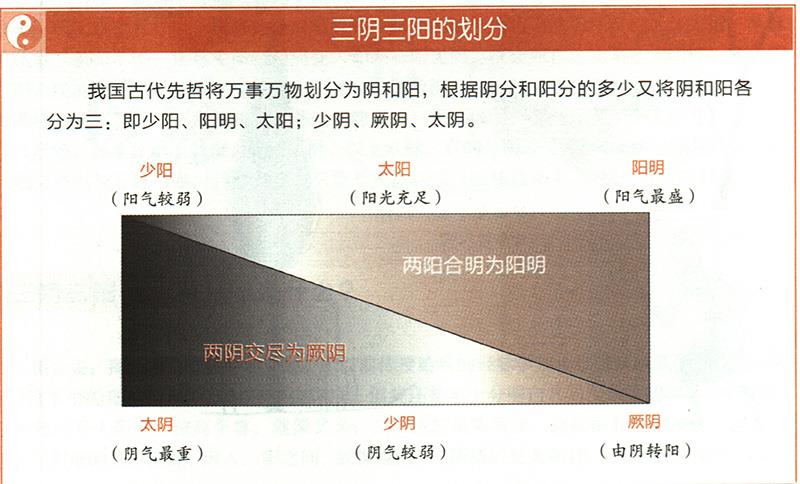 如何根據陰陽之氣來治病？