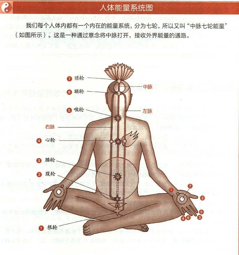 道家的“無為”為何能養(yǎng)生？