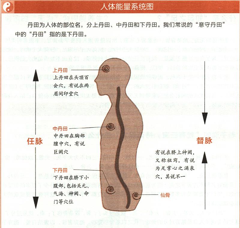 “吹呴呼吸，吐故納新”是怎樣的養(yǎng)生法？
