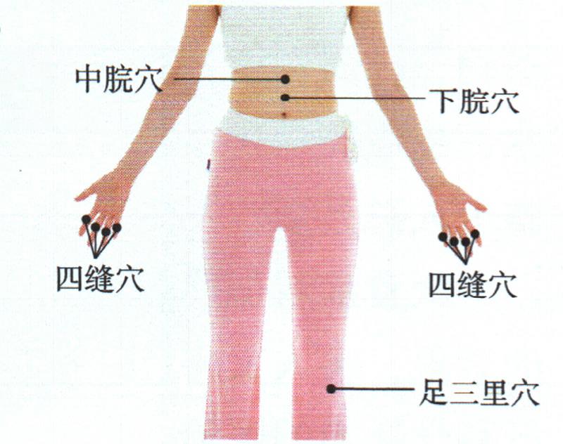 按摩足三里穴、四縫穴、中脘穴，促進吸收增點肉