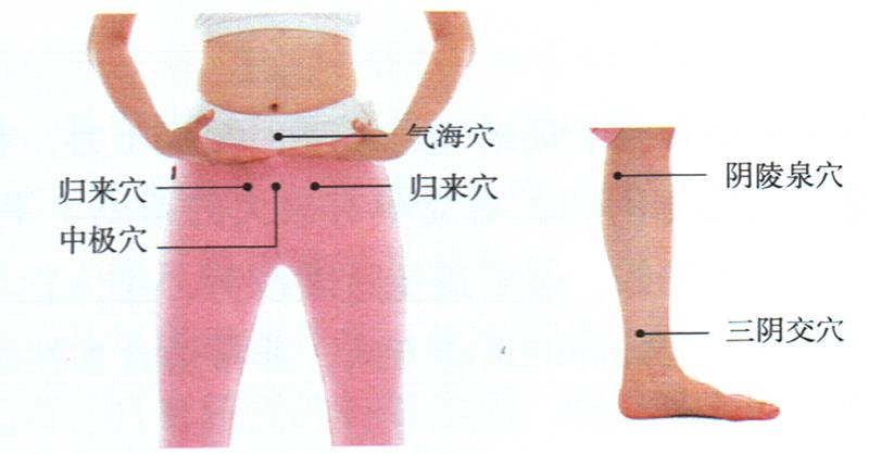 按摩歸來(lái)穴、中極穴等，健脾調(diào)經(jīng)更助孕