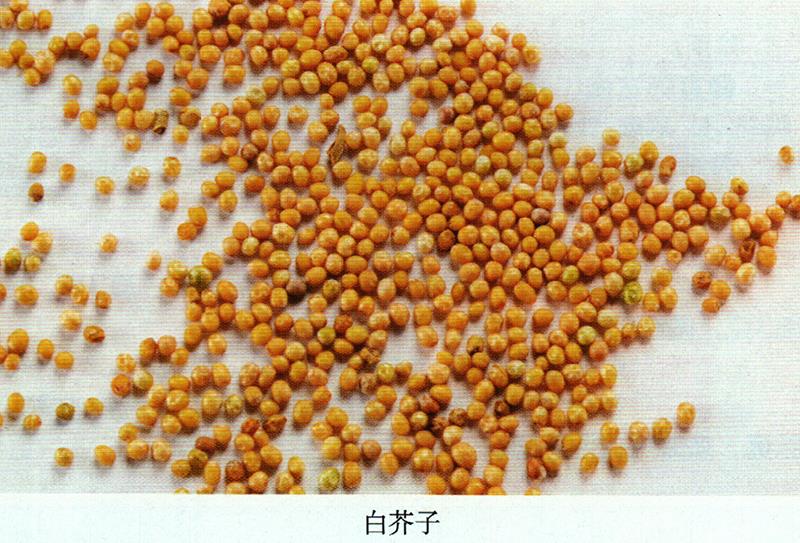 治毒蛇咬傷、癖癥、蕁麻疹方