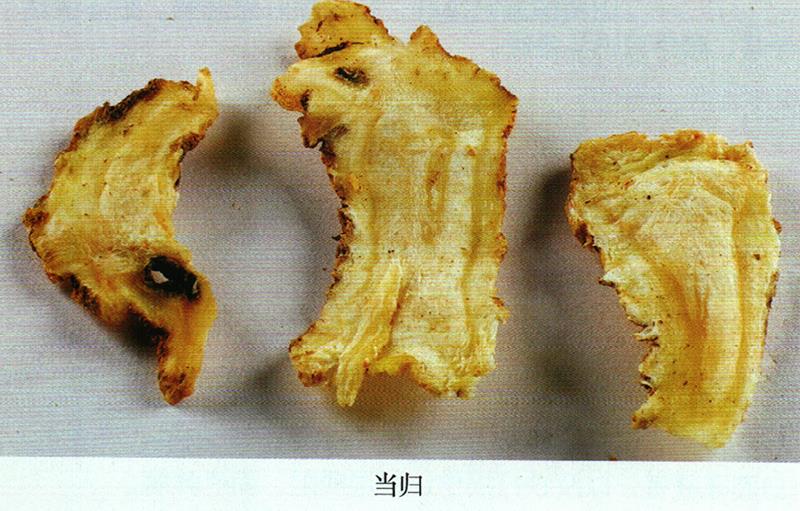 治跌打紅腫、炎腫方